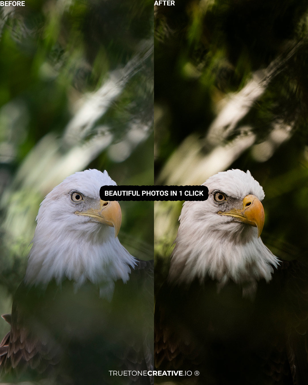 Tropical Escape | Lightroom Presets